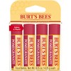 Burt's Bees Burt's Bees Lip Balm - Pomegranate, Lip Moisturizer