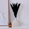 15 Pcs Pampas Grass by Boundless Lifestyle - 17’’ Fluffy