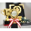 Trophy Winner Height 9.8 inches (25 cm), Prize Product, Reward,
