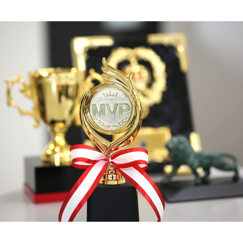 Trophy Winner Height 9.8 inches (25 cm), Prize Product, Reward,
