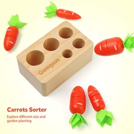 Coogam Wooden Carrot Sorting Toy, Montessori Colour Shape Sorter Cutting Harvest Matching Game for Toddler Fine Motor Skills Early Learning Preschool Educational Gift Toy