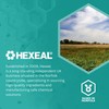 Hexeal Screenwash -5⁰C | 10L | All Seasons Screenwash Effective