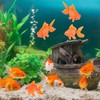 WsjiaboFux 10Pcs Orange Aquarium Fish Bowl Tank Artificial Floating Plastic