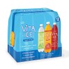Vita Ice Variety Pack, 12 Pack, 17 oz. Bottles