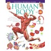 Universal Reference Guide - HUMAN BODY (Universal Reference Guides)