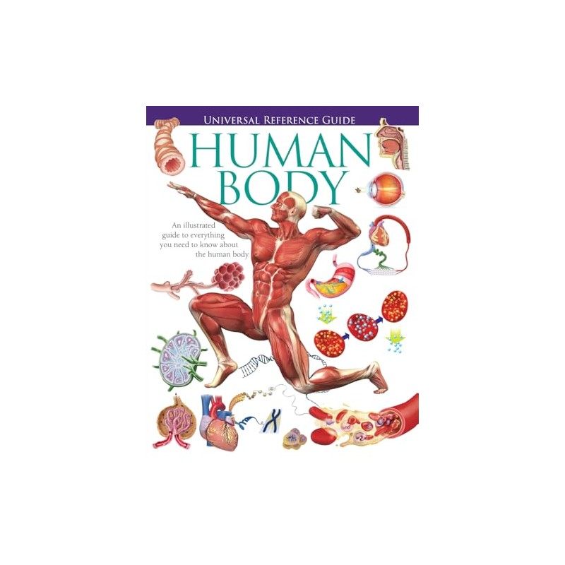 Universal Reference Guide - HUMAN BODY (Universal Reference Guides)