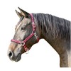 Kerbl Mustang Head Collar - Red/Black, Size 2
