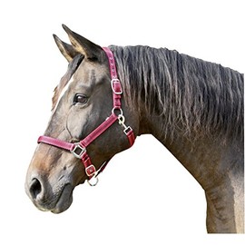 Kerbl Mustang Head Collar - Red/Black, Size 2