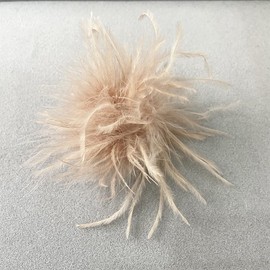 2 Pieces Feather Brooch for Women Girls, Natural Ostrich Feather Pin Brooch Pin Dress Accessories Hair Accessory Fascinators Headpiece for Wedding Party Festival Camel