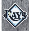 TAMPA BAY RAYS EMBROIDERED IRON ON PATCH 2.75” X 2.75”