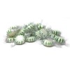 Starlight Spearmint Mints 2 Lbs Bulk Hard Candy Discs Approximately