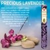HEM Incense sticks | Pack of 6 | with SAMASIA