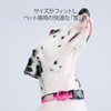 Dog Collar, Basic Collar for Dogs, Dog Collar, Training Collar
