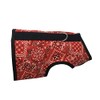 Kitty Holster Cat Harness, X-Small, Red Bandana