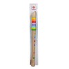 Eichhorn 100003481 Musik Holzflöte Colourful Wooden Flute with 7 Holes,