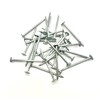 Clout Nails Galvanised Large Head (200g Pack) Roofing Felt Nail