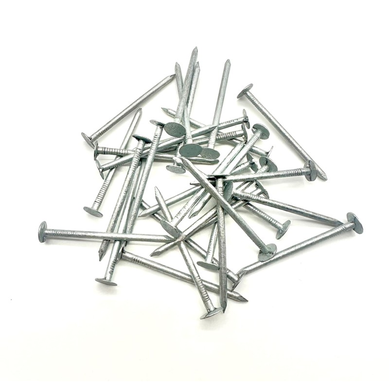 Clout Nails Galvanised Large Head (200g Pack) Roofing Felt Nail