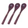 若泉 Lacquerware 割烹 Lacquerware 茶碗蒸si Spoon 溜塗 Gold Foil 3 Piece