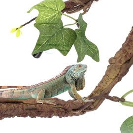 Reptile Branch Decor Terrarium Plant Decoration Corner Branch for Amphibians, Lizards, Snakes, Climbing (Pack of 2)