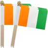 TSMD Ivory Coast Stick Flag Ivorian Small Mini Hand Held