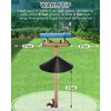 Qualirey 1 Pack 21.5 Inch Metal Squirrel Proof Baffle for