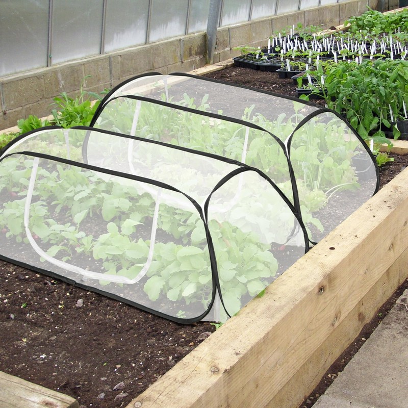 45" x 22" x 16" Pop Up Garden Rows Plants