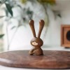 Auerlsroom 아우얼스룸 11번가 도구 우드괄사 모양 마사지 우드 괄사 토끼