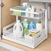 2-Tier Under Sink Organizer for Cabinet Storage – Sliding Metal