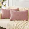 MIULEE Pack of 2 Couch Valentines Throw Pillow Covers 12x20