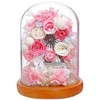 Teat Sight Preserved Flower Gift Flower Present Glass Dome Ferris