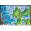 Monterey California Adventure & Dive Guide Map Laminated Poster by
