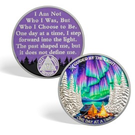 CHURYUML One Day at a Time 22 Year Sobriety Coin - Inspirational Sober Chip, Non-Religious AA Coins Recovery Medallions Sober Affirmation Token Sobriety Gifts for Women Men Celebrating Sobriety