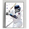 AAP J Baez 8x10 Limited Poster Artwork