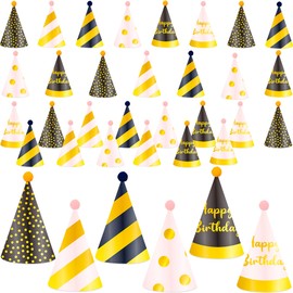 Rcanedny 36 Pcs Birthday Party Cone Hats with Pom Poms Paper Party Hats for Birthday Family New Year Celebration Party Supplies, 6 styles
