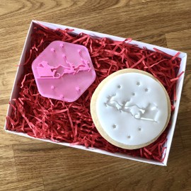LissieLou Santa's Sleigh Cookie Stamp Christmas Theme Icing Fondant Embosser - Light Pink