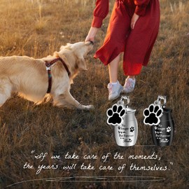 KALIONE 2 Pcs Pet Urns Keychain Dog Urns for Ashes Dogs Ashes Keepsake Stainless Steel Small Pet Urns for Dogs Cat Ashes Urns with Storage Bags Pet Cremation Jewelry Pend Paw Print Urn