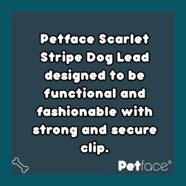 Petface Scarlet Stripe Spot Dog Lead, Medium