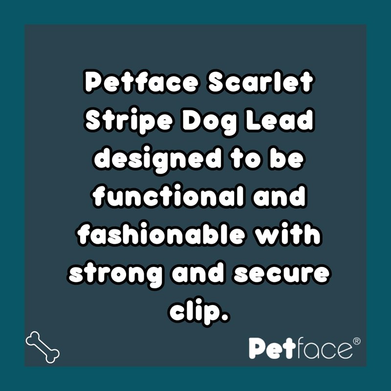 Petface Scarlet Stripe Spot Dog Lead, Medium