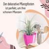 PECZEKO Flower Pot Shiny Plastic Planter Decorative Pot for Large