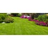 Soil Moist SAP Super Absorbent Polymer Smaller Granular Size is