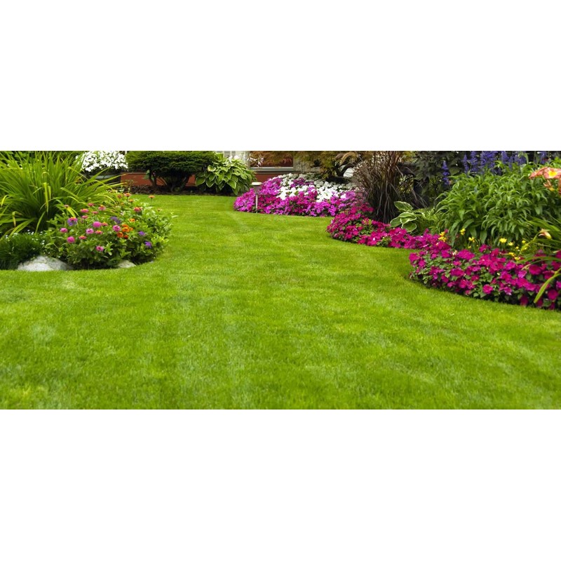 Soil Moist SAP Super Absorbent Polymer Smaller Granular Size is