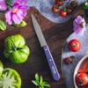 OPINEL Essential No.113 Serrated Paring Knife, Hornbeam Handles, Made in