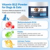 Appetite Stimulant Vitamin B12 Powder for Cats&Dogs Methylcobalamin Supplement with
