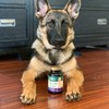 PetNC Natural Care Hip & Joint Health for Dogs