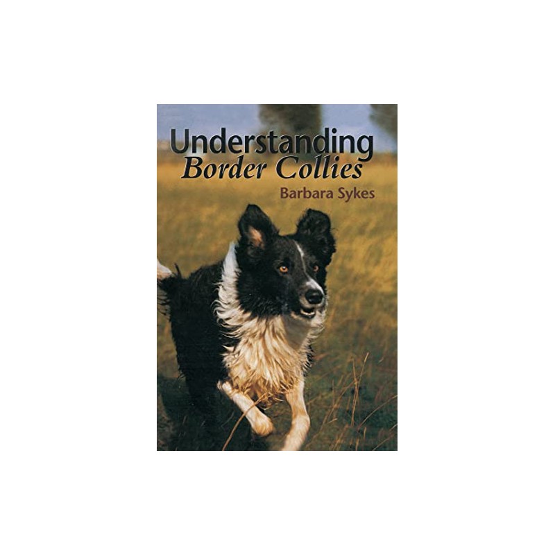 Understanding Border Collies