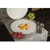 Premium Quality Heavyweight Plastic Plates China Like. Wedding and Party