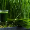 Original Barley Grass Juice Powder from the USA - 200
