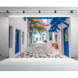 CHNBGPRO 1.5m x 1m Greece Backdrop Santorini Morocco Blue Window Flowers Street Scenery Photo Background for Greece Wedding Birthday Party Decor Music Drama Backdrop Photo Booth Props