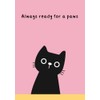 Pawsome notebooks set 2 Black cats - 04