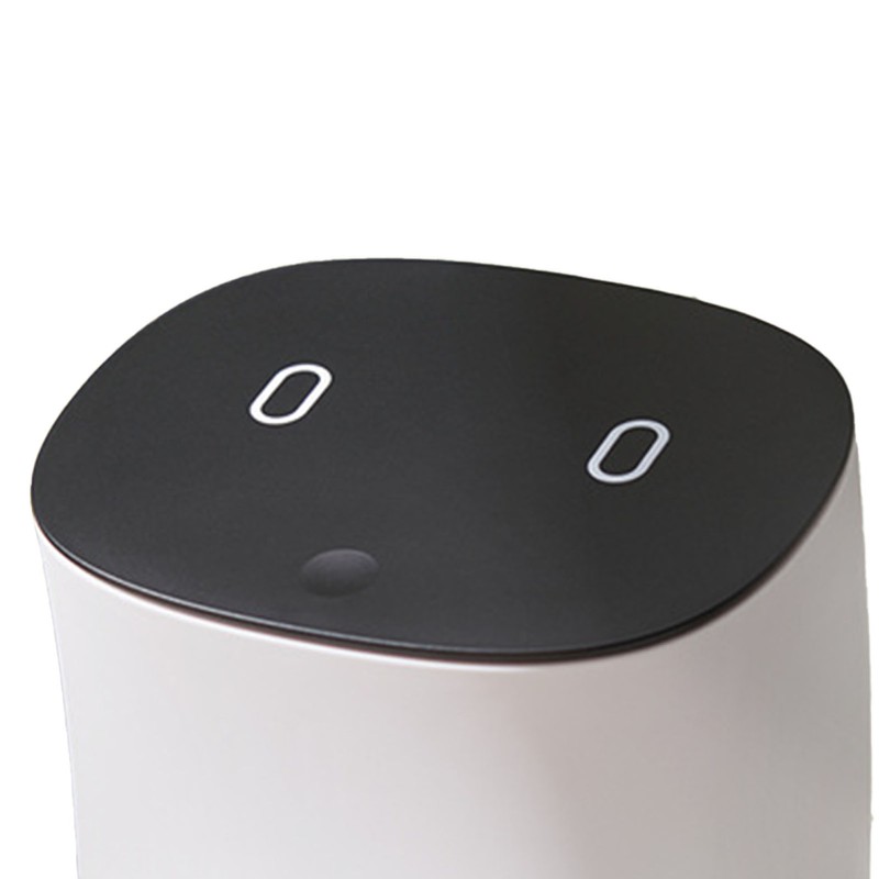 Mini Trash Can with Lid Small Desktop Trash Can Detachable
